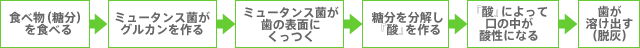 矯正治療中の虫歯予防