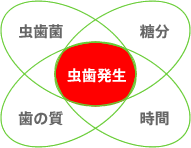 矯正治療中の虫歯予防